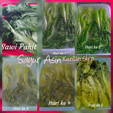Masak sayur lodeh sampai semua sayuran menjadi lembut / matang. Sayur Asin Sawi Asin By Juliawati Bahrian Langsungenak Com