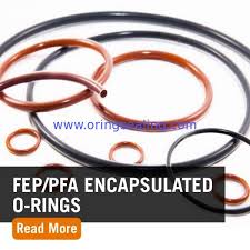 Ptfe Teflon Fep Pfa Encapsulated Viton Fkm Fpm O Ring Fep