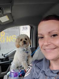 For 40 years, this space has sheltered countless dogs through hardships and  second chances. 🐾 But time has caught up with us and we can't weather  another storm. Band-aid fixes are no