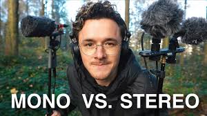 What causes audio becoming muddy during recording birds? (Like Mono/JPG  quality)