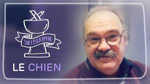 Une pièce qui a du chien