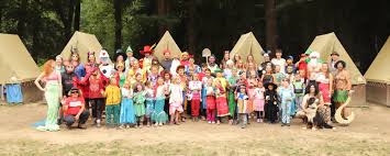 Image result for nemoci u%u0161  u ps%u016F