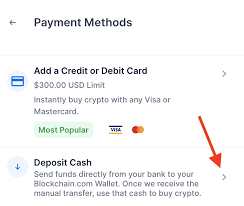 Buy btc, eth, bch and ltc instantly with over 300 different ways to pay. How Do I Buy Crypto Via Bank Transfer Blockchain Support Center