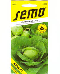 Image result for hlávková kapusta