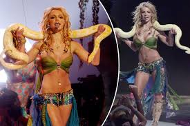 Image result for britney spears python