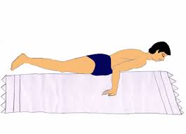 Check spelling or type a new query. Mayurasana Steps Benefits Precautions Poses 101yogasan 101yogasan