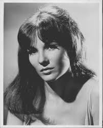 1966 Janice Rule-Actress Press Photo