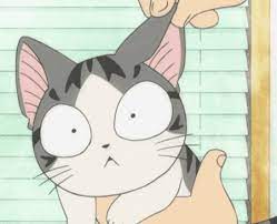 World Of Chi Anime Cat Kawaii Cat Anime Animals