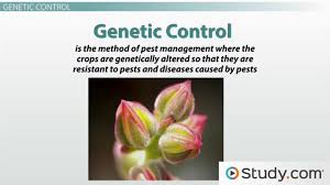 Chapter 12 food, soil, and pest management— presentation transcript 5 employs crop rotation and biological pest control organic agriculture emphasizes prevention of soil erosion and the use of organic fertilizers such as animal manure and compost, but no sewage sludge. Alternative Pest Control Methods For Agricultural Use Video Lesson Transcript Study Com