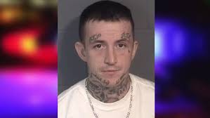 Suspected car thief who was held at gunpoint by owner makes first court  appearance