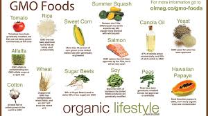 The adjectives modify the nouns, and the adverbs modify the verbs or the adjectives or the other adverbs. Top 20 Genetically Modified Foods Products The Guardian Nigeria News Nigeria And World News Features The Guardian Nigeria News Nigeria And World News