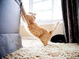 Once the new piece of cat furniture is in your home, rub it with catnip, or dangle your cat's favorite toy from the top, creating a game which encourages your cat to mimic the motion of scratching. How To Stop Cats Scratching Furniture
