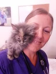 GOODING VET CLINIC (208) 934-5626