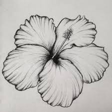 42 Simple And Easy Flower Drawings For Beginners Cartoon District Easy Flower Drawings Flower Sketches Flower Drawing