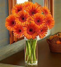 Pin On Gardening Outdoor Projects
