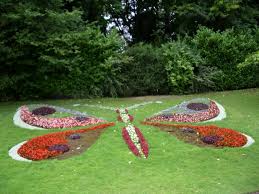 Le jardin botanique de caen a obtenu l'agrément jardin botanique de france et des pays francophones en 1997. Papillon Du Jardin Des Plantes Photos De Caen Domi1 Photos Club Doctissimo