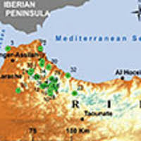 Image result for Crepidorhopalon namuliensis