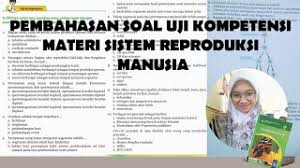 Check spelling or type a new query. Pembahasan Soal Uji Kompetensi Materi Sistem Reproduksi Manusia Ipa Kelas 9 Semester 1 Hal 47 49 Youtube
