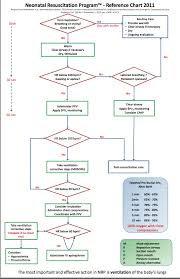 nrp flow diagram wiring diagram online