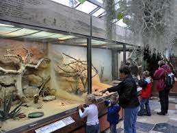 Der tiergarten wurde im jahr 1858 eröffnet und ist nach der berliner zoo der älteste tiergarten. Zoologischer Garten Frankfurt Tierpark In Frankfurt