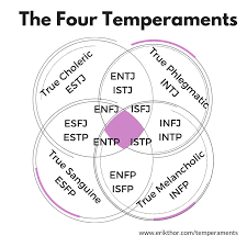 Four Temperaments Melancholic Sanguine Choleric Phlegmatic Erik Thor S Mbti Types In 2020 Mbti Infp Personality Personality Psychology