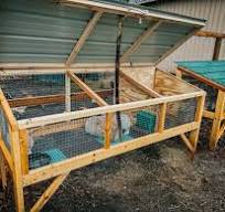 PLANS: The Best Rabbit Growout Hutch — Teal Stone Homestead