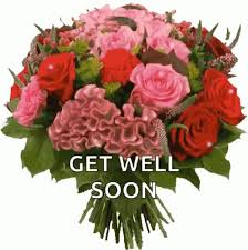 An evergreen shrub that can grow 8 feet tall, gardenias grow best in humid areas. Get Well Soon Feel Better Gif Getwellsoon Feelbetter Flowers Discover Share Gifs