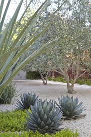 Pin On Gardens To Inspire