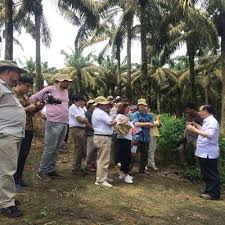 Namun, penggunaan minyak telah mendapatkan kritik selama beberapa dekade terakhir, yang. Kunjungi Kebun Sawit Asian Agri Begini Kesan Para Dubes Eropa Ekonomi Bisnis Com