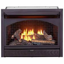 Procom's propane powered, blue flame wall heater is another fine little home heating option. Procom 26 000 Btu Vent Free Dual Fuel Propane And Natural Gas Indoor Fireplace Insert With T Stat Control 170082 The Home Depot