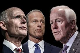 Why Trump's MAGA base wants Rick Scott for Republican Senate majority  leader over his rivals.