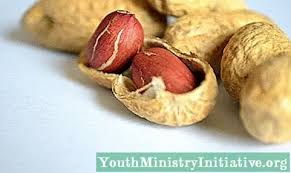 Di dalam darah, kolesterol dibawa oleh protein. 10 Sifat Pemakanan Dan Kebaikan Kacang Tanah Psikologi 2021