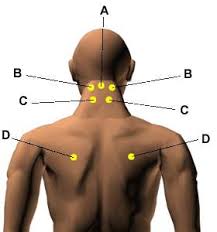 60 Ageless Massage Pressure Points