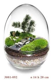 Terrarium Art Piccoli Mondi In Vetro Diy Succulent Terrarium Terrarium Terrarium Scene