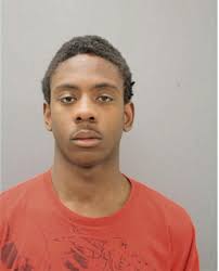 ᐅ Illinois Criminal Records 2009-2025