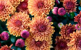 Lawrence "Larry" W. Worthy