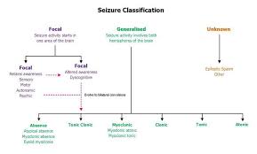 seizure charts for school yahoo image search results