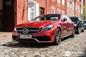 Image result for Hyacinth Red 2016 S