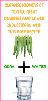 Cleanse Kidneys Of Toxins Treat Diabetes And Lower Cholesterol With This Easy Recipe Okra Water Okra Water Lower Cholesterol Cholesterol Lowering Foods
