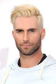 Best Celebrity Hair Color Pictures Bleached Hair Men Blonde Hair Men Bleached Hair