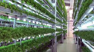We did not find results for: Is Aeroponics Better Than Hydroponics How Does It Work