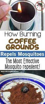 Hugedomains Com Natural Mosquito Repellant Diy Natural Products Mosquito Repellent