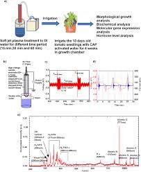 Cvs.com® is not available to customers or patients who are located outside of the united states or u.s. Cold Atmospheric Plasma Activated Water Irrigation Induces Defense Hormone And Gene Expression In Tomato Seedlings Scientific Reports