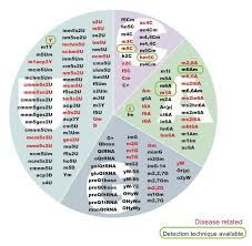 Owned by freddie mac, fannie mae, va, fha or usda) and is a result of the coronavirus, then it will not be reported to the credit bureaus per the. Centre For Genomic Regulation Website