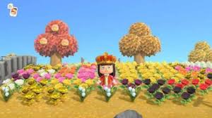 In sunny or dry conditions, its leaves will brown. Acnh 5 Star Island Rating Guide How To Get Animal Crossing Gamewith