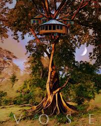 Mark Vose (@vosemark) · Instagram photos and videos