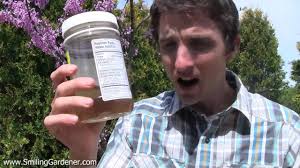 Peecycling: How To Fertilize Your Garden With Nutrient-Rich Urine