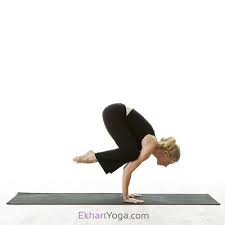 Yoga Pose Crow Pose Bakasana Crow Pose Yoga Poses Yoga