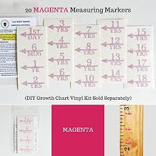 Amazon Com Little Acorns Add On Diy Vinyl Growth Chart