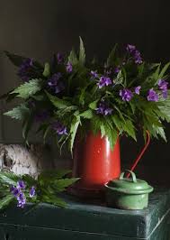 We had cut pansies look beautiful for well over a week in just plain water and more than 10 days when we used flower food. Grow Your Own Cut Flowers It S Easy